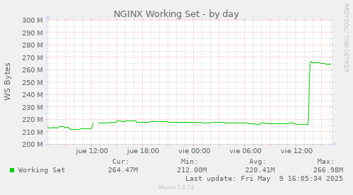 NGINX Working Set