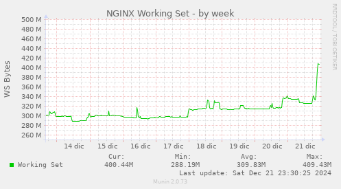 NGINX Working Set